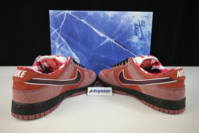 Nike SB Dunk Low Concepts Red Lobster 313170-661