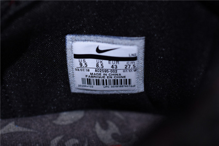 Nike LeBron 16 Fresh Bred AO2595-002