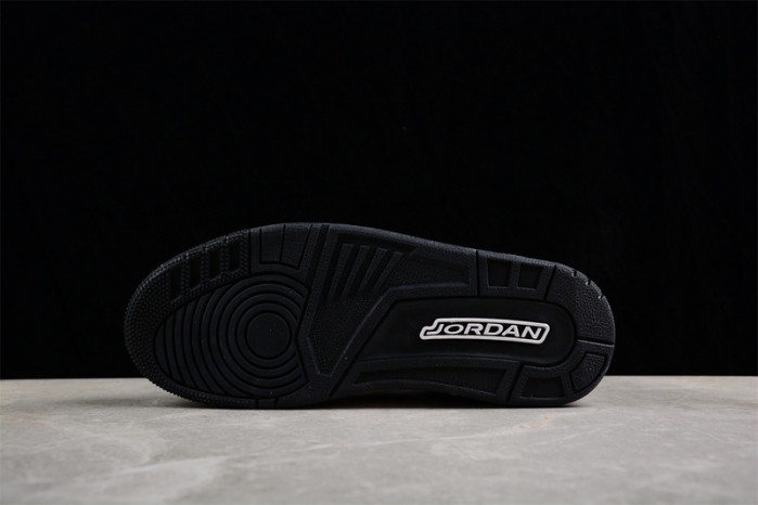 AIR JORDAN 3 GS HIDE N