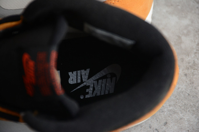 Jordan 1 High Element Gore-Tex Light Curry DB2889-700