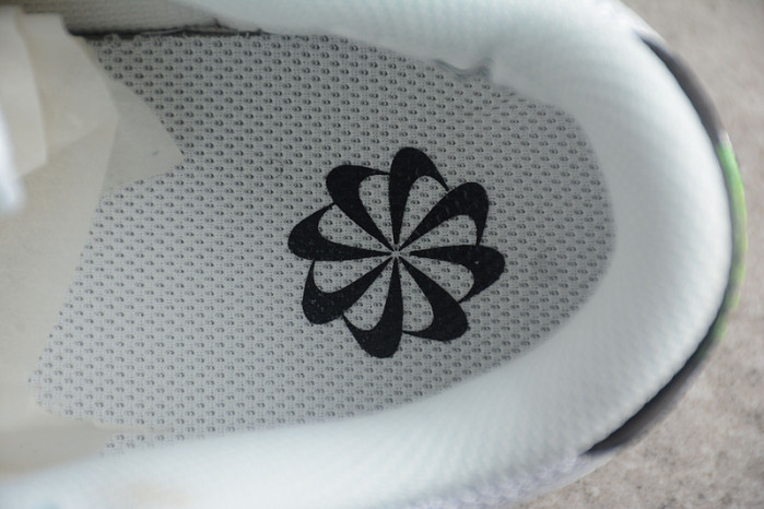 Nike Dunk Low “Glitch ” DV3033-001