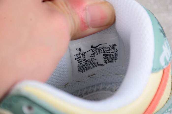 Nike SB Dunk Low DH9765-100