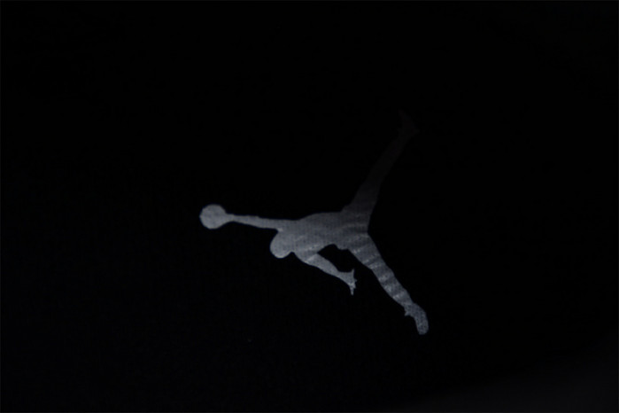 AIR JORDAN 12 BLACK WOLF GREY CT8013-019