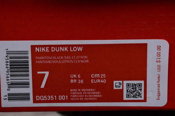 Nike Dunk High Retro PRM Year of the Tiger DQ5351-001