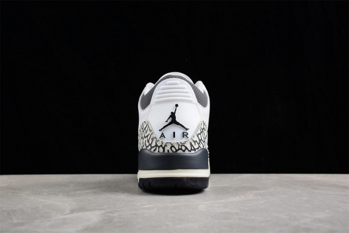 AIR JORDAN 3 GS HIDE N