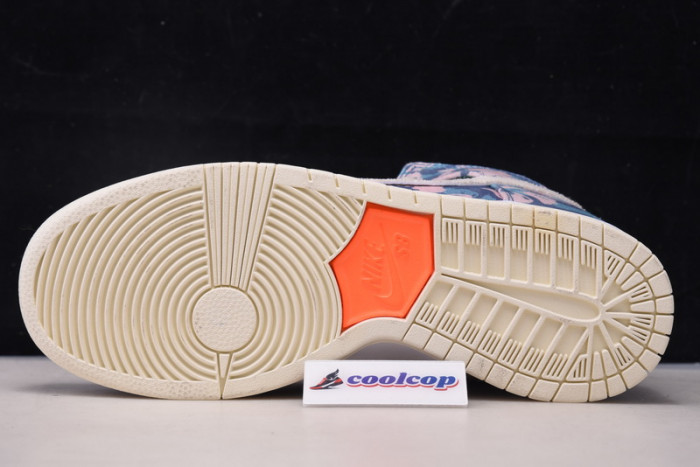 NIKE SB Dunk High Pro CZ2232-300