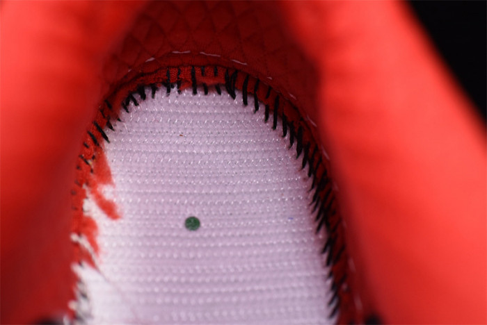 NIKE SB DUNK LOW “WHAT THE P-ROD