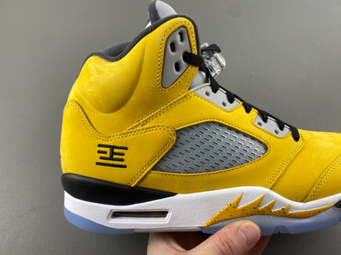 Air Jordan 5 Retro T23 